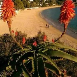 https://appartement-almadrava-roses.catalonia-hotels.com